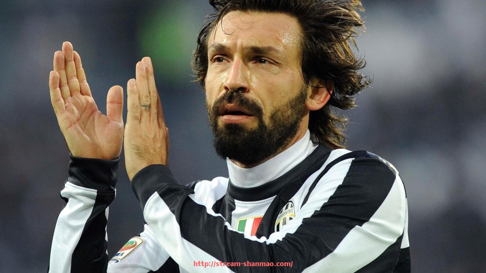 山猫直播官网-赛佰斯健身器材价格及功能介绍