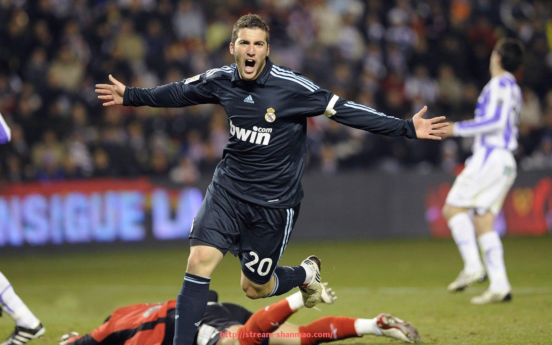 山猫直播官网-星驰力量健身器材系列产品介绍与评测